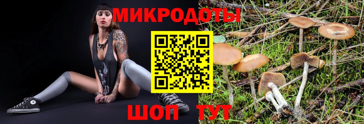 Галлюциногенные грибы Cubensis  Вход с VPN  Сочи 
